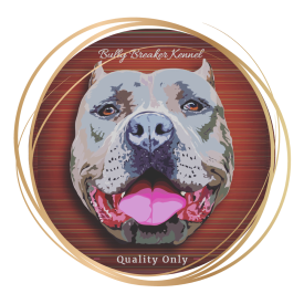 pitbull breeders and puppies for sale texas